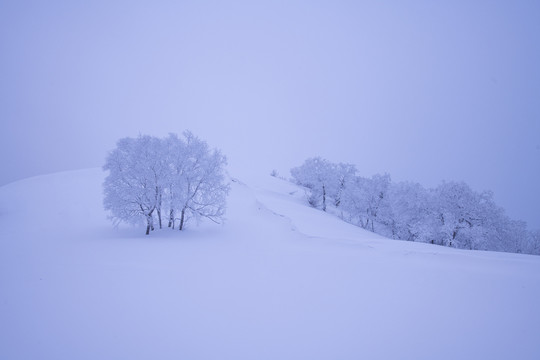 雪乡美景