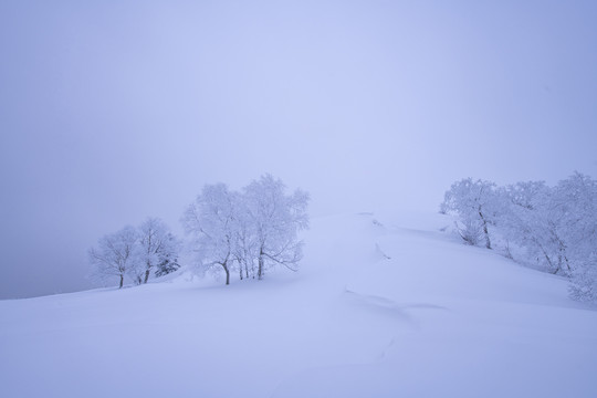 雪乡美景