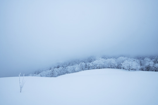 雪乡美景