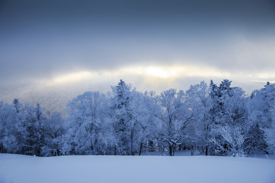 雪乡美景