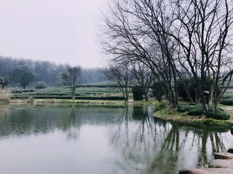 烟雨江南