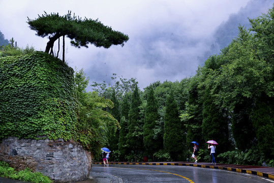 披风戴雨访名山