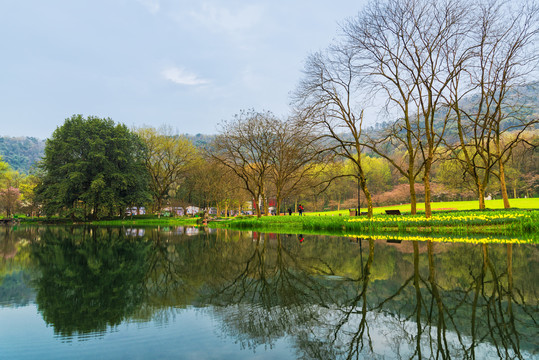 杭州西湖太子湾公园春景