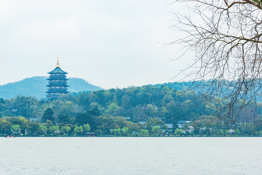 杭州西湖景区雷峰塔春景