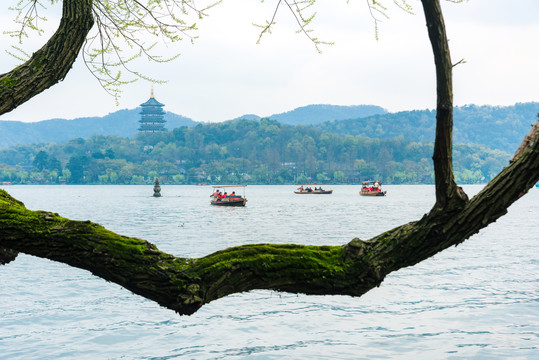 杭州西湖景区雷峰塔与三潭印月