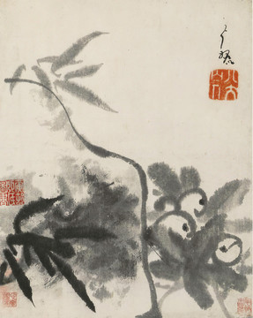 朱耷清八大山人枇杷圖