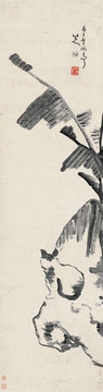 朱耷清八大山人芭蕉貓石圖