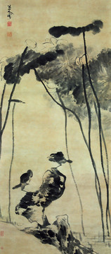 朱耷清八大山人荷池雙鳥圖