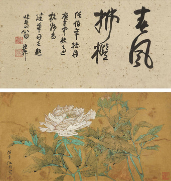 任頤任伯年牡丹圖