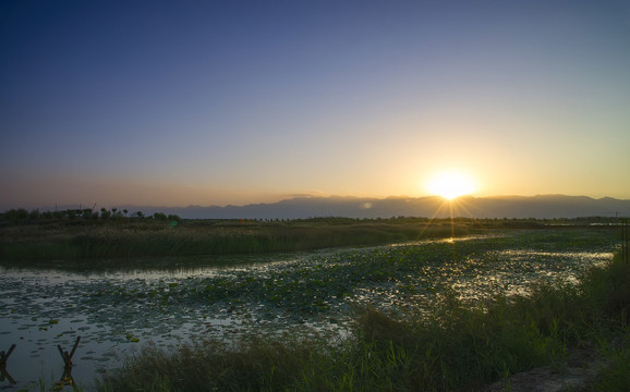 夕阳下的湿地景观