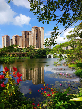 海南清水湾中央公园美景