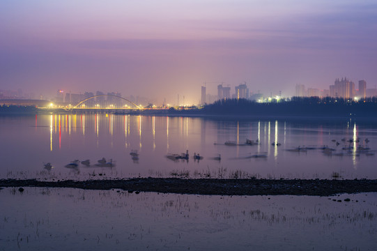 三门峡天鹅湖