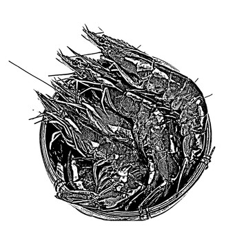 蝦
