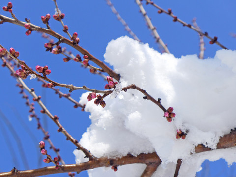 精美雪景专辑