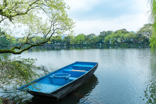 杭州西湖小瀛洲春景