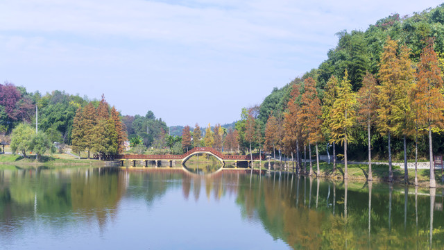 冬日湖畔风景