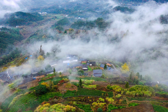 山村唯美秋景