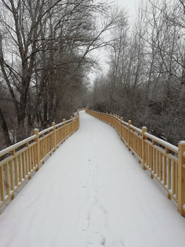 冰雪路