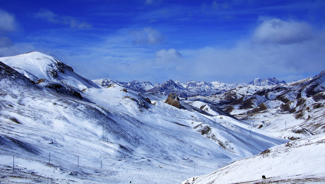 青藏高原雪山