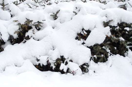 冰天雪地