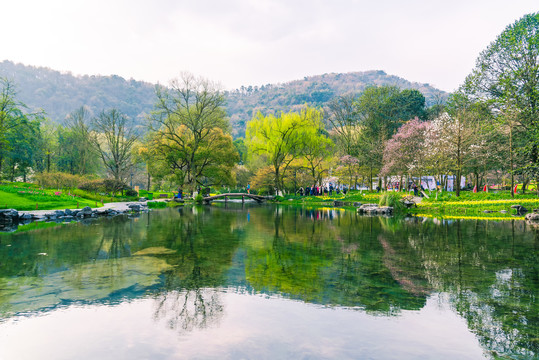 杭州西湖太子湾公园春景