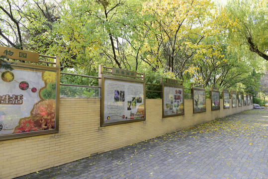北京西山植物园