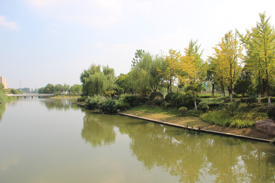 滁河支流茉湖公园