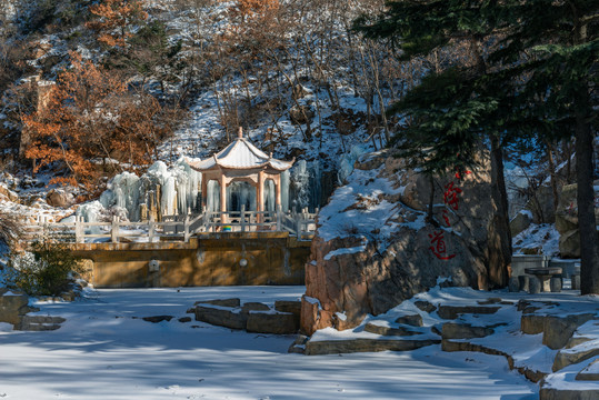 冬日山东省招远市罗山森林公园晶