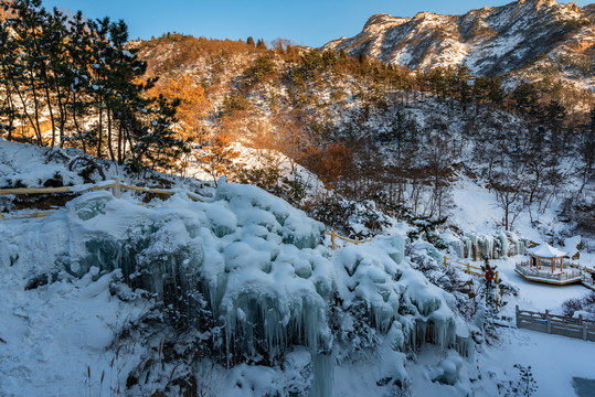 冬日山东省招远市罗山森林公园晶