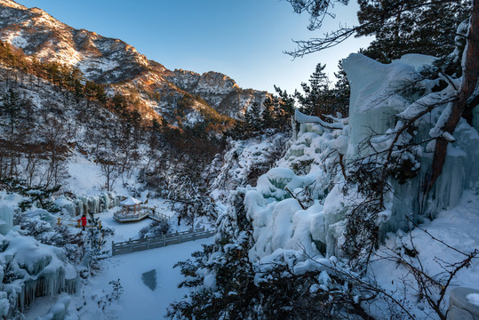 冬日山东省招远市罗山森林公园晶