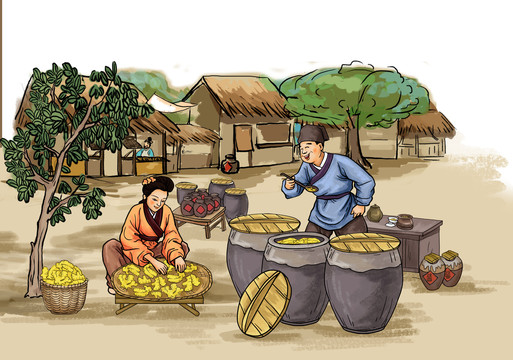 腌生姜醬插畫