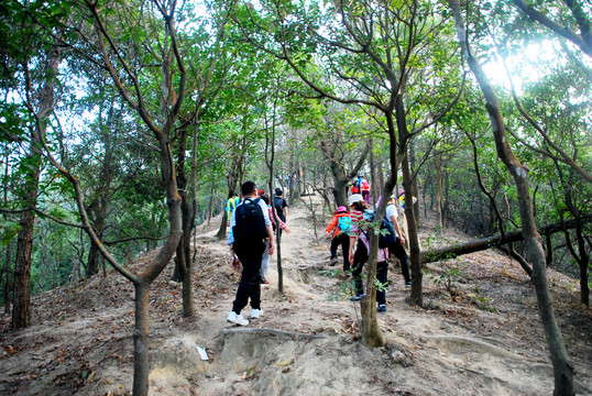 山林登山队