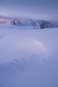 雪乡