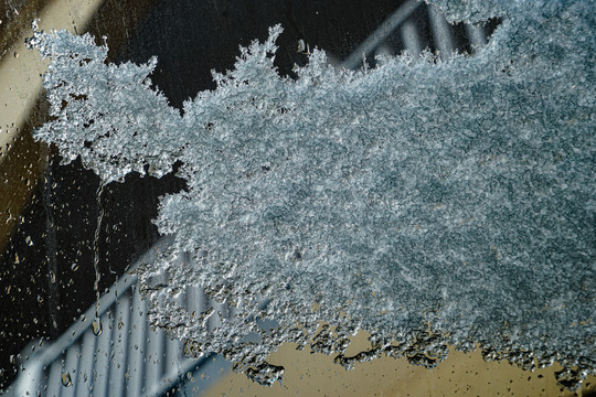 玻璃上的雪花落叶