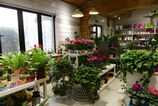 绿植花店