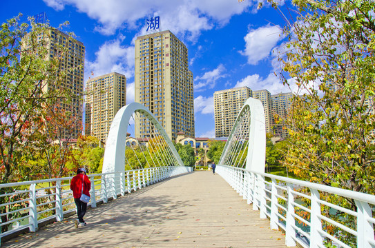 城市路桥