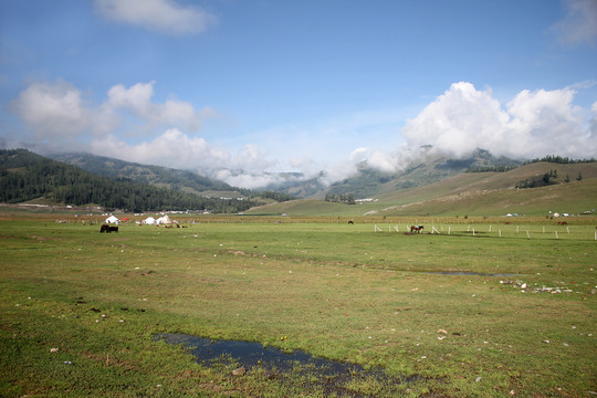 那拉提草原风景区