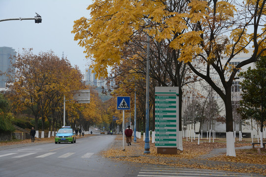 三峡大学秋景