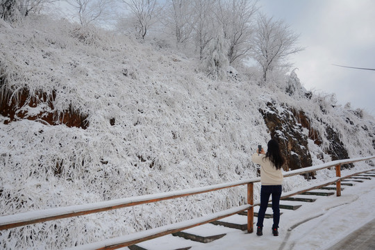 百里荒雪景