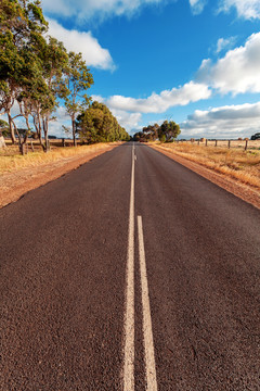 道路