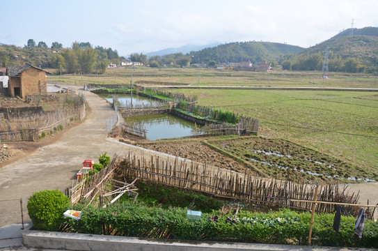 乡村道路