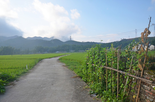 乡村道路