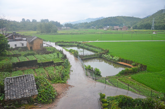 雨天道路