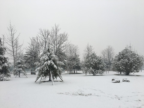 雪景