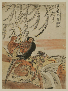 礒田湖龍齋在晴朗的天氣下兩只鳥