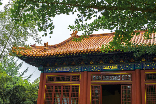 山东汶上大宝相寺