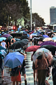 雨季