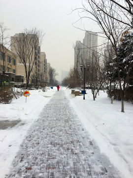 东北冬天雪后住宅小区道路