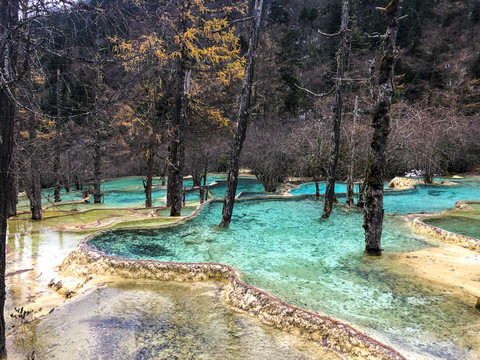 四川高原湿地黄龙五彩池