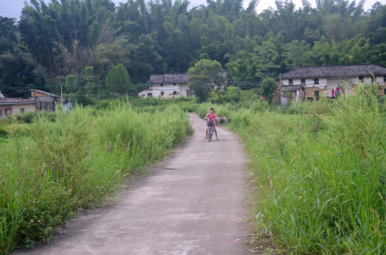 乡间道路